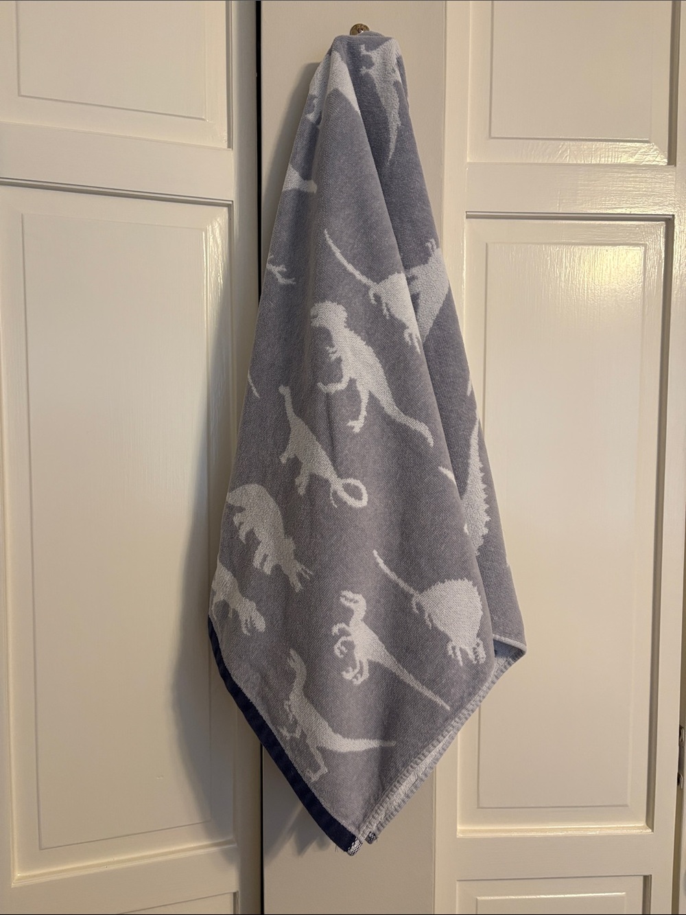 Pottery Barn Kids Finn Dino Bath Towel 25x50